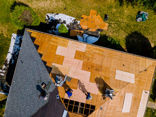 Best Storm Damage Roof Repair  in Orangetree, FL
