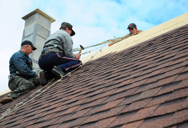 Best Best Roofing Contractors  in Orangetree, FL